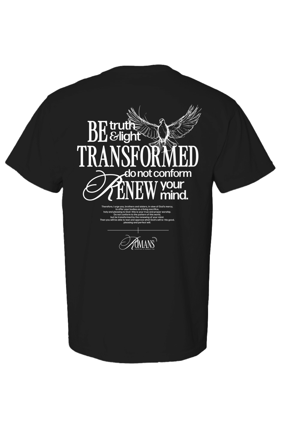 Faith-based streetwear "Be Truth &amp; Light" Christian Comfort Colors t-shirt in black with oversized white graphic.